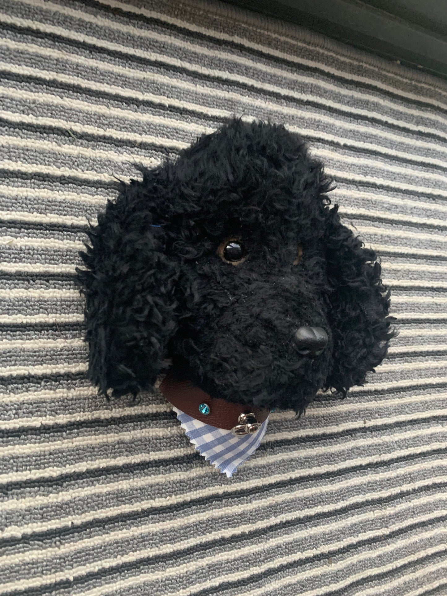 Black Poodle super cute handmade head portrait 8” super gift for poodle lover comes gift boxed dog lover unique and well made