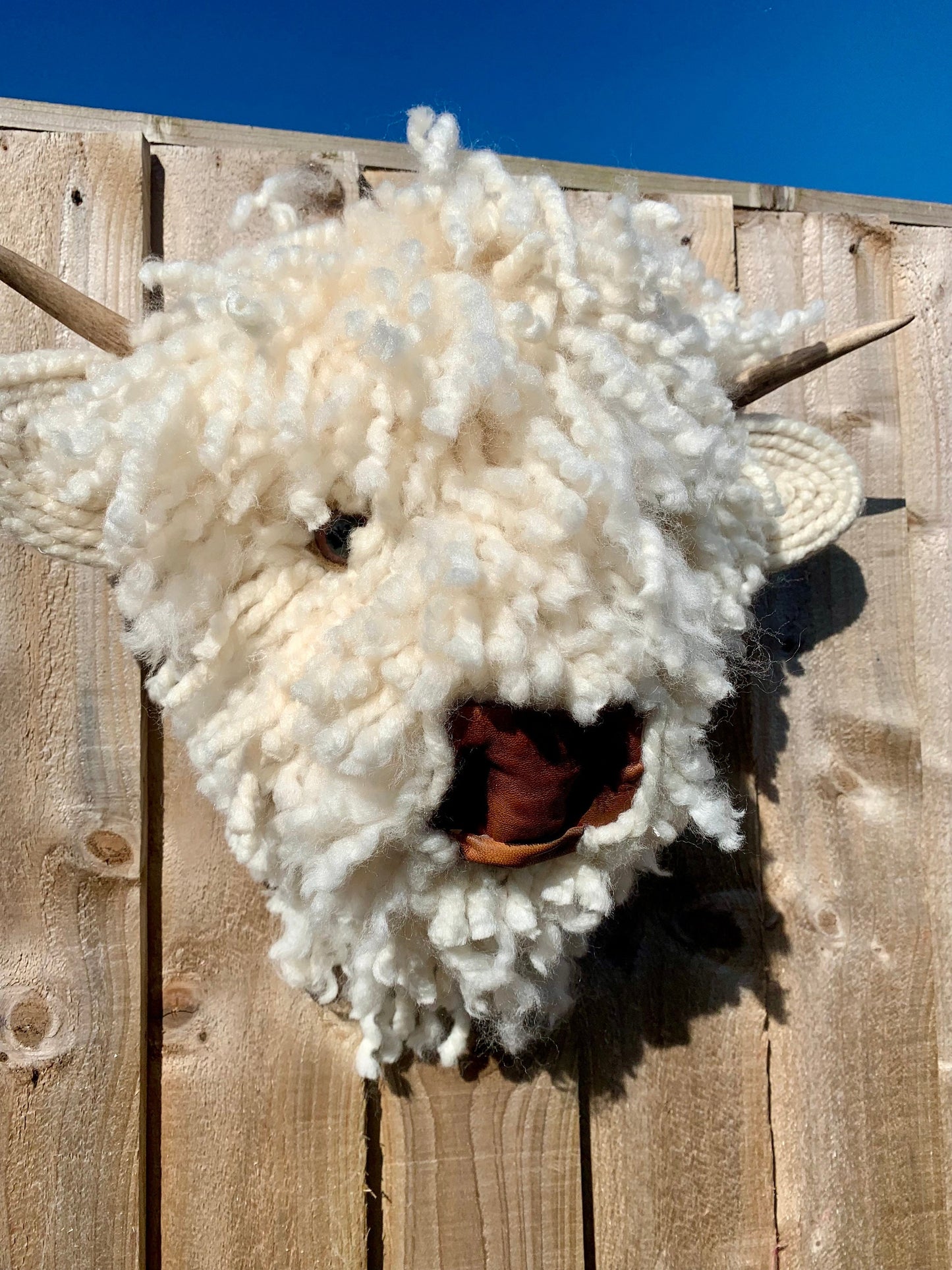 Baby Highland Cow Leather nose Bull Head, carved Horns faux natural sheep wool Easy to hang STUNNING Better in real life