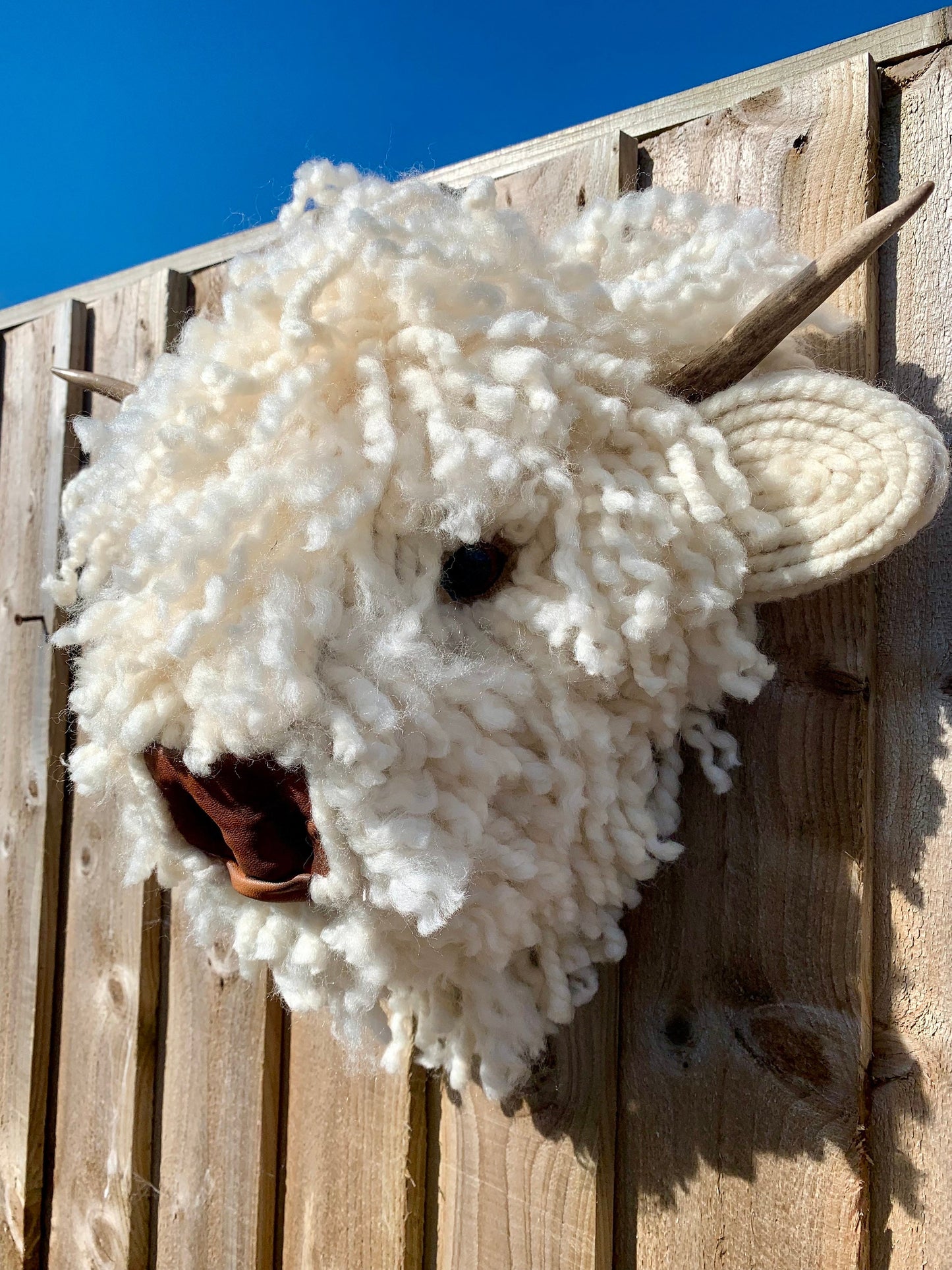 Baby Highland Cow Leather nose Bull Head, carved Horns faux natural sheep wool Easy to hang STUNNING Better in real life