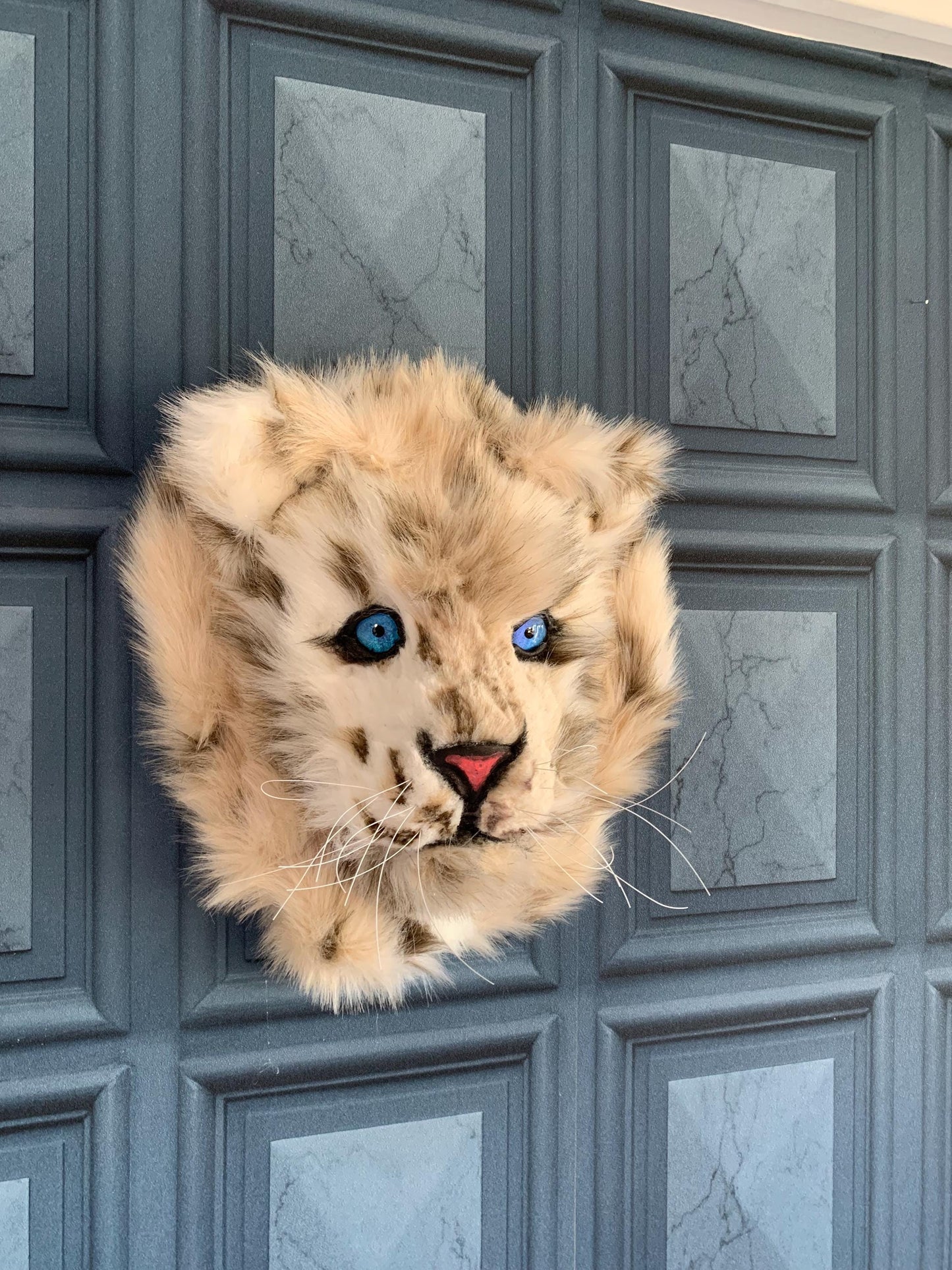 Baby snow leopard cub, super cute with faux luxury fur 13” x 13” realistic eyes