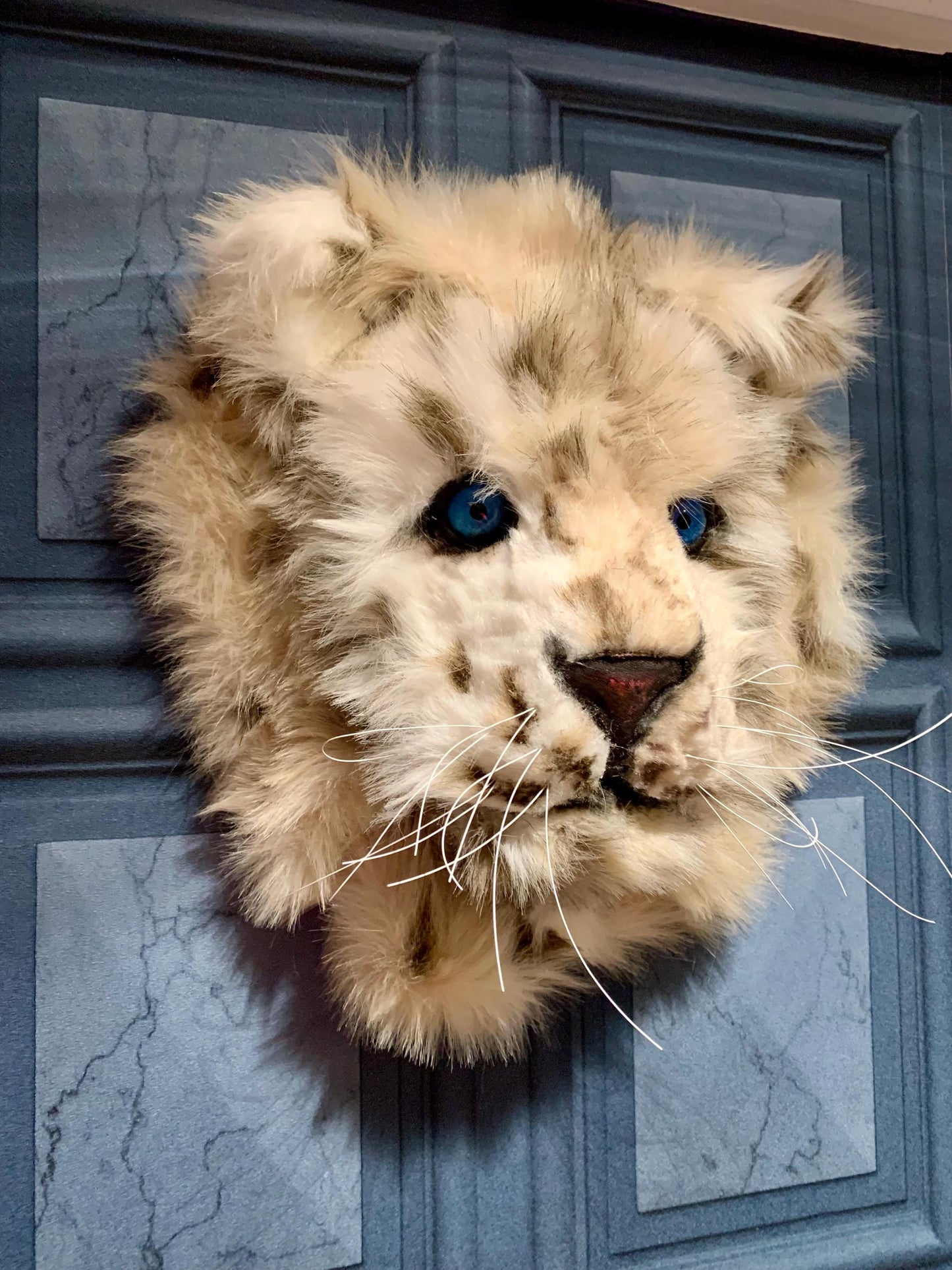 Baby snow leopard cub, super cute with faux luxury fur 13” x 13” realistic eyes