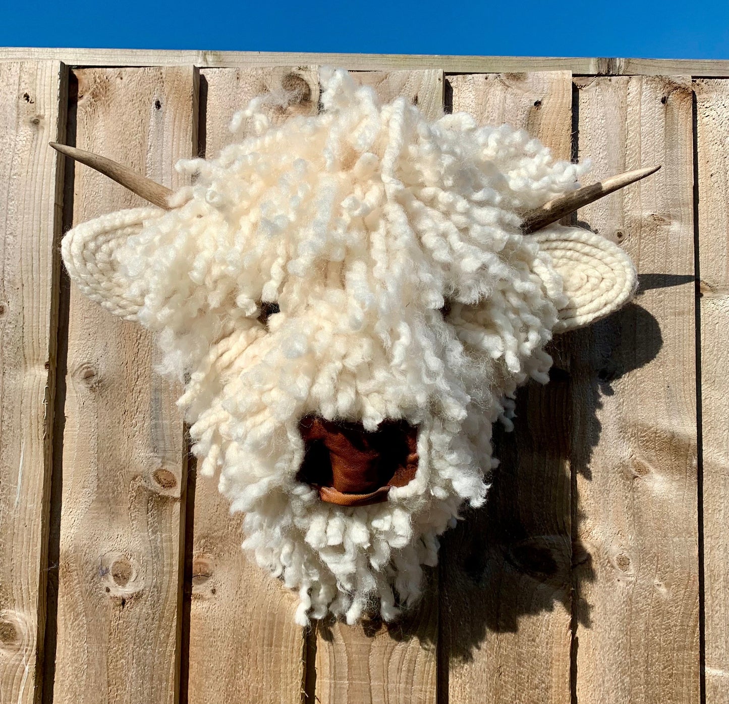 Baby Highland Cow  Leather nose  Bull Head, carved  Horns faux natural sheep wool Easy to hang STUNNING Better in real life